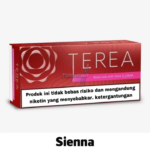 IQOS Terea Sienna Indonesian – Warm & Smooth Heat-Not-Burn Tobacco
