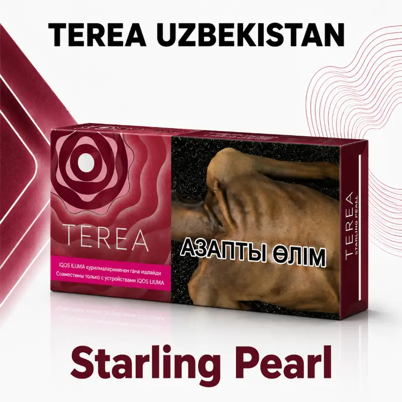 AnyToolz_compressed_1000758221 TEREA Starling Pearl Uzbekistan - Image 1